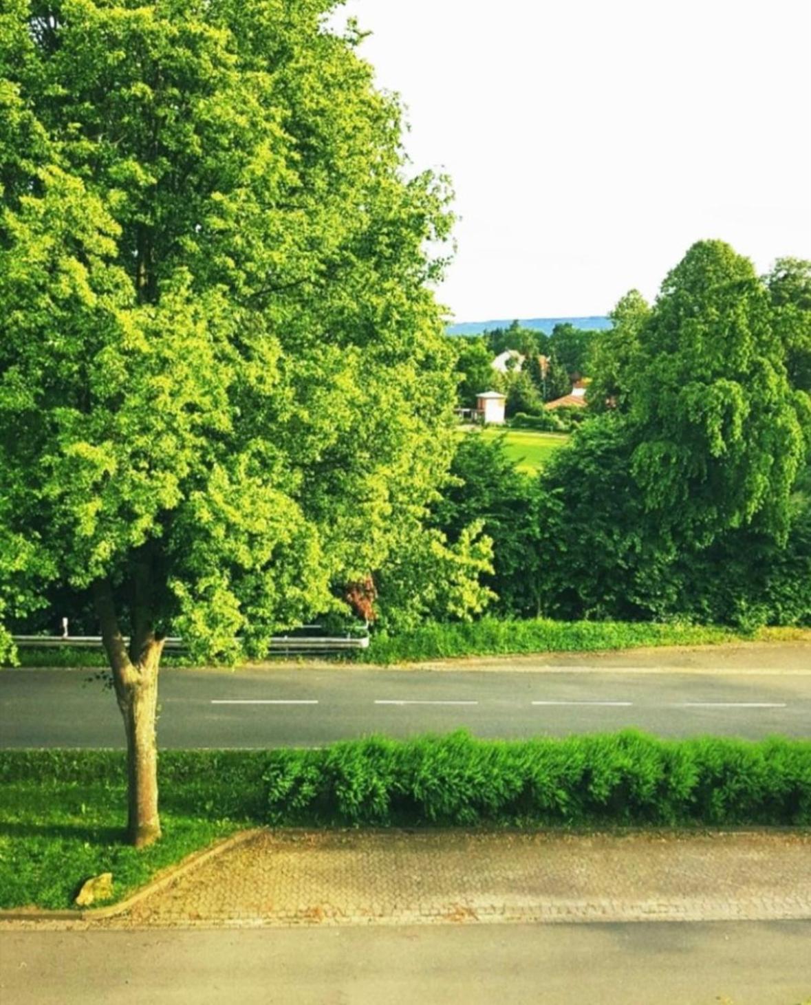 Ferienwohnungen Tetzlaff, Else Bad Münder am Deister Zewnętrze zdjęcie